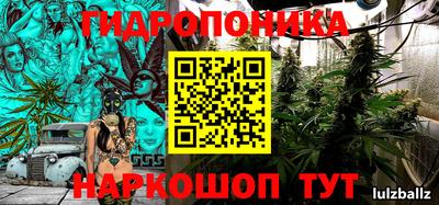 крисы Балахна