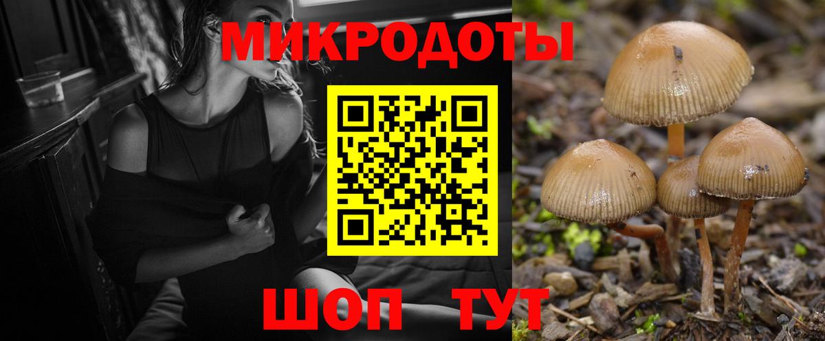 где найти   Вход с VPN  Галлюциногенные грибы MAGIC MUSHROOMS  Горячий Ключ  Галлюциногенные грибы мицелий 